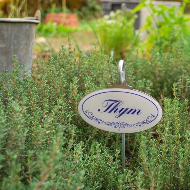 Etiquettes De Jardin Plantes Aromatiques Vintage concernant Etiquettes Jardin