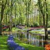Excursión A Keukenhof Y Los Molinos De Kinderdijk - Bruselas ... pour Jardin De Keukenhof