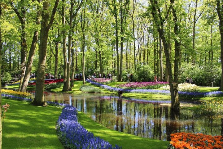 Excursión A Keukenhof Y Los Molinos De Kinderdijk – Bruselas … pour Jardin De Keukenhof