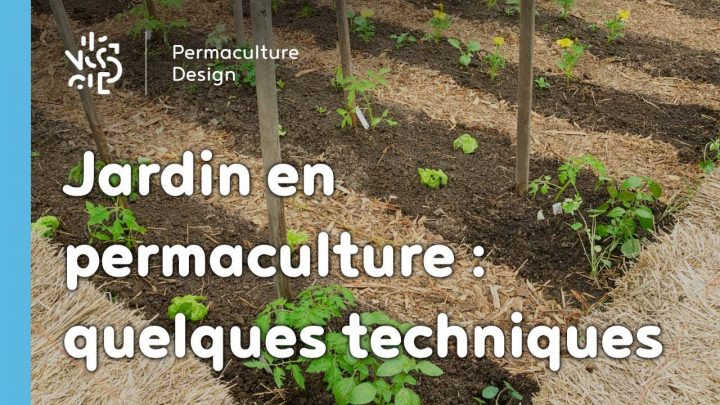 Exemple De Techniques Pour Un Jardin Potager En Permaculture destiné Exemple D Aménagement De Jardin