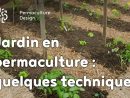 Exemple De Techniques Pour Un Jardin Potager En Permaculture tout Organisation D Un Jardin Potager