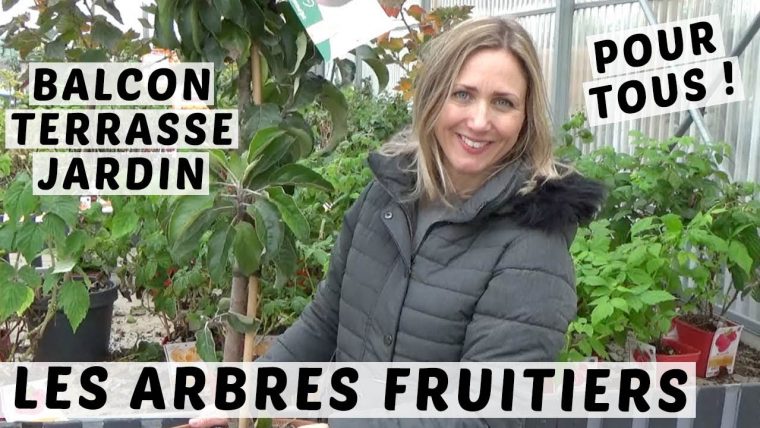 🍎 Du Balcon Au Jardin : Des Arbres Fruitiers Pour Tous Avec Les Pepinières  Poullain avec Quel Arbre Fruitier Pour Petit Jardin