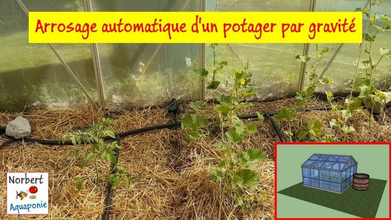 💦 Arrosage Automatique D'un Potager Par Gravité encequiconcerne Systeme Arrosage Jardin Potager