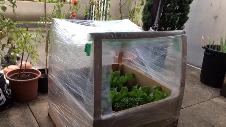 Fabrication D'une Serre En 5 Minutes Pour Le Potager Urbain intérieur Construire Une Mini Serre De Jardin