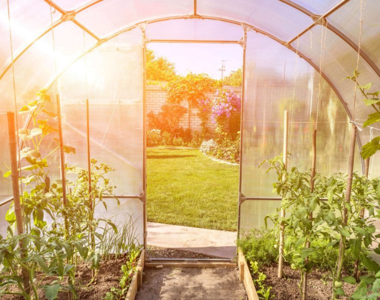 Fabriquer Soi-Même Sa Serre De Jardin – Salon Viving encequiconcerne Tube Pour Serre De Jardin