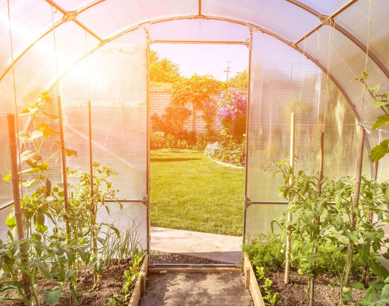 Fabriquer Soi-Même Sa Serre De Jardin – Salon Viving serapportantà Fabriquer Une Serre Tunnel De Jardin