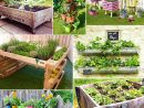 Fabriquer Un Potager Surélevé Et Cultiver Hors-Sol intérieur Bac Pour Jardiner En Hauteur
