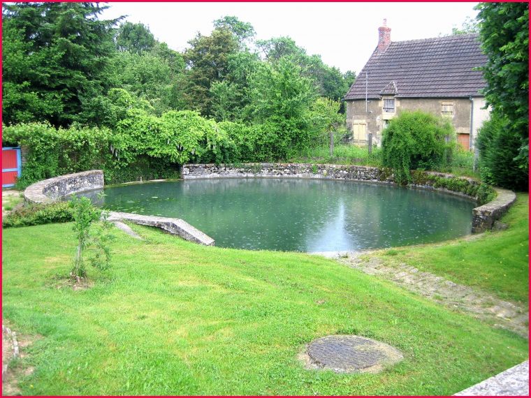 Fabriquer Une Cascade Pour Bassin Exterieur Incroyable Pompe … destiné Bassin De Jardin Jardiland