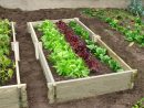 Faire Son Jardin Potager – Conseils Pour Avoir Un Beau Jardin dedans Faire Un Petit Potager Dans Son Jardin