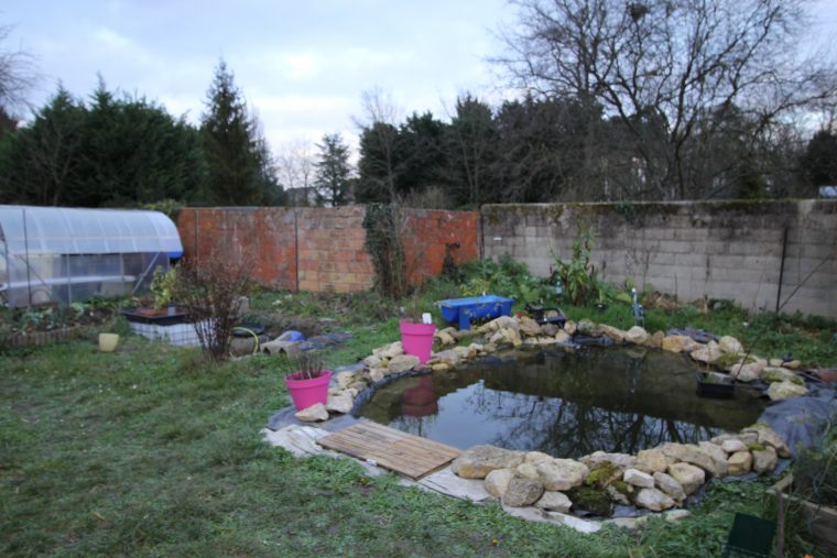 Faire Un Bassin Artificiel Dans Son Jardin – Aquaponie à Profondeur D Un Bassin De Jardin