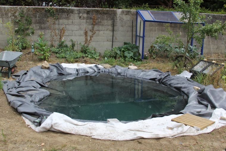 Faire Un Bassin Artificiel Dans Son Jardin – Aquaponie avec Créer Un Bassin De Jardin