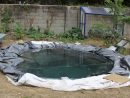 Faire Un Bassin Artificiel Dans Son Jardin - Aquaponie destiné Bac Poisson Jardin