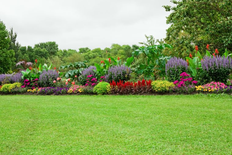 Fiche Conseils Pour Créer Un Magnifique Massif De Fleurs à Comment Realiser Un Jardin