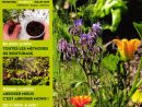 Fiche Produit - Catalogue Produits Mlp tout Jardiner Bio Magazine