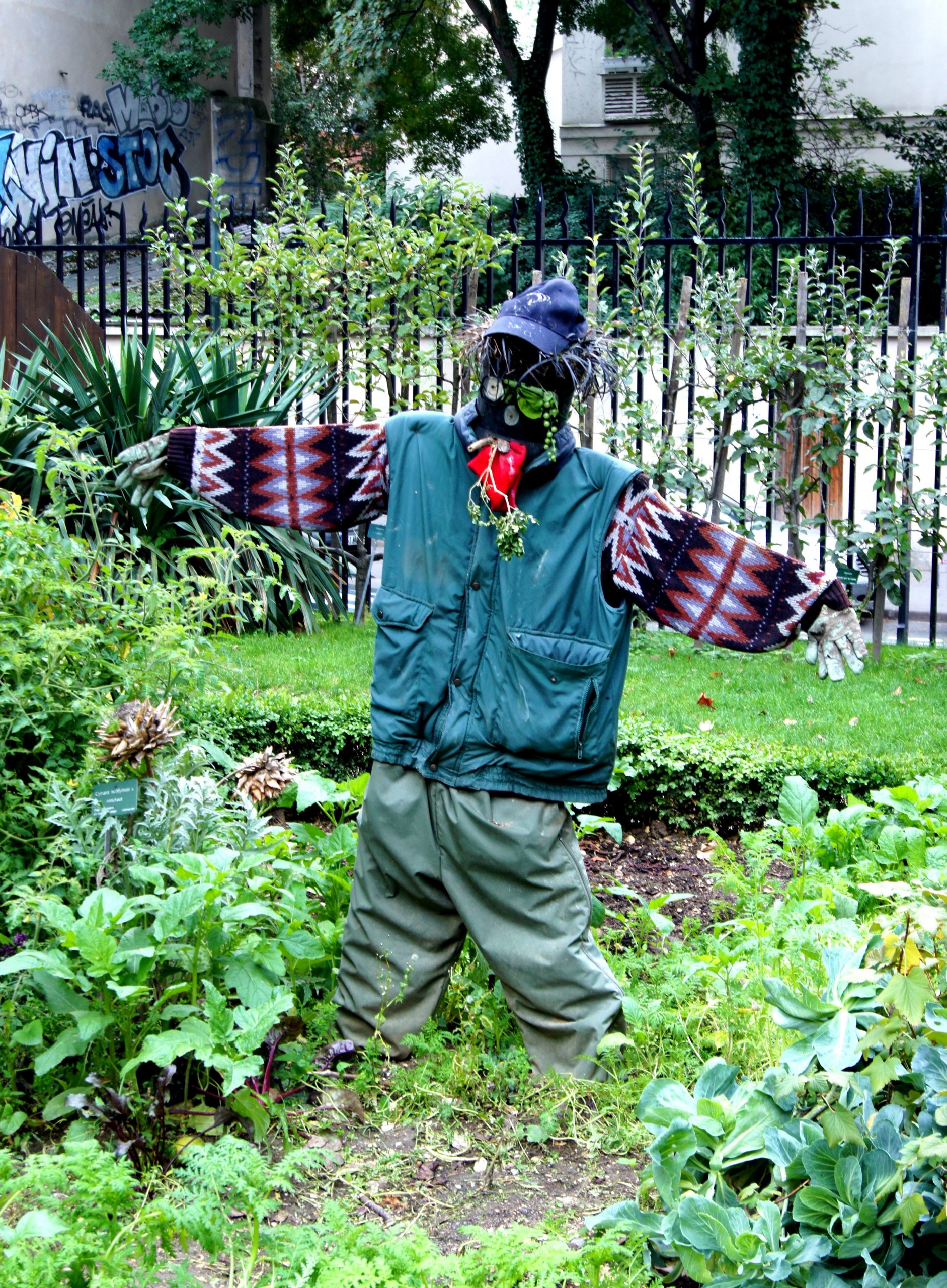 File:épouvantail Scarecrow Potager Jdp.jpg - Wikimedia Commons pour Epouvantail De Jardin