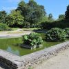 File:jardin Des Plantes D'avranches - Bassin Des Gunneras ... dedans Plante Bassin De Jardin