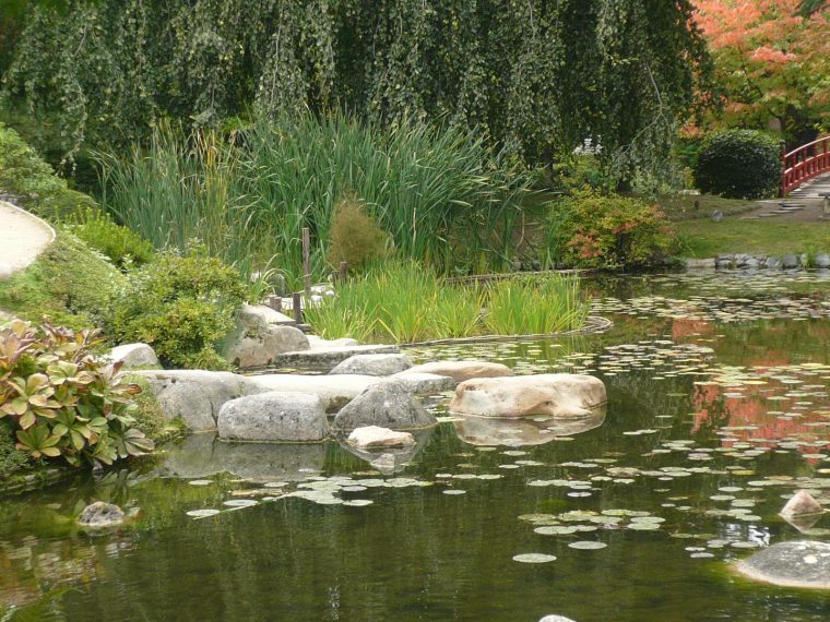 File:p1060621 Vue Rapprochee Sur Amenagement Jardin Japonais … avec Am2Nagement Jardin