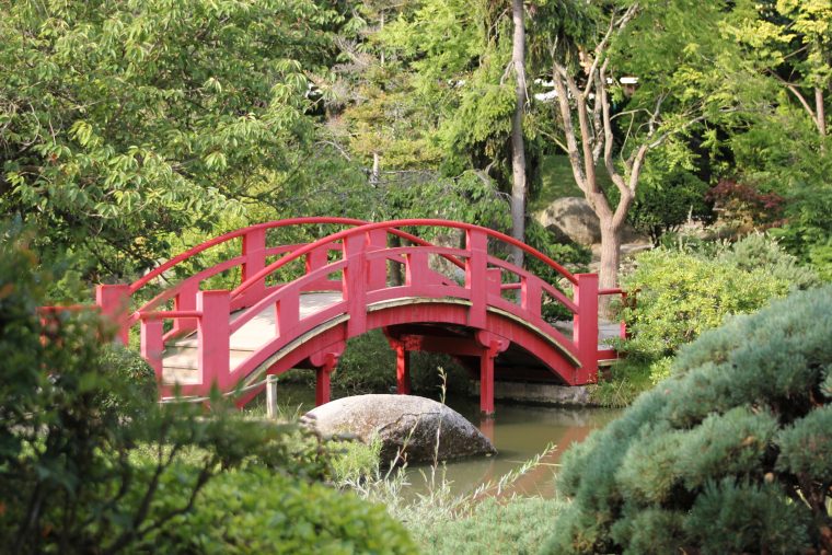 File:pont De La Lune Au Jardin Japonais.jpg – Wikimedia Commons serapportantà Modele De Jardin Japonais