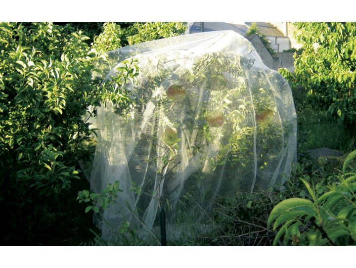 Filet De Protection Protect Fruit Spécial Verger 5,20X5M … encequiconcerne Filet De Protection Jardin