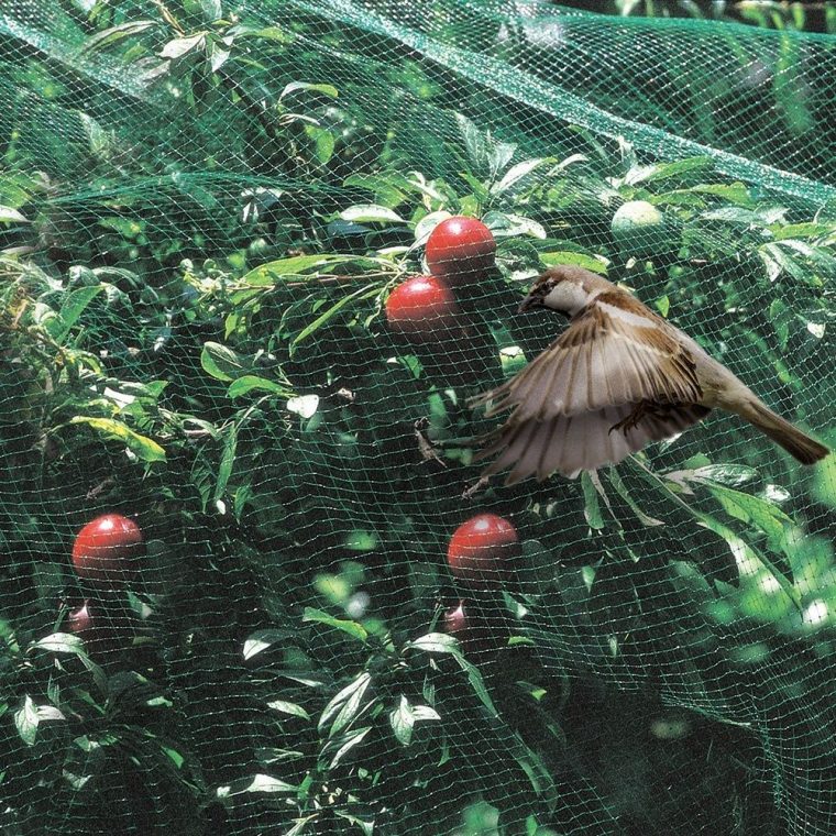 Filet Oiseaux 5X10M – Gamm Vert avec Filet De Jardin À Oiseaux