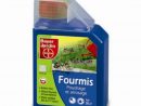 Fourmis Poudrage &amp; Arrosage Granulés Fins Bayer Jardin 400 G pour Anti Fourmi Jardin