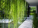 Gallery Of Naman Retreat Pure Spa / Mia Design Studio - 17 ... intérieur Plante Jardin Zen