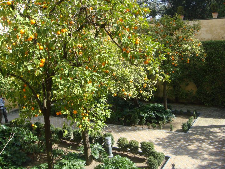 Garden Of The Galley (Jardín De La Galera) – Seville pour Delimitation Jardin