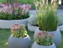 Garden Trends 2019 - Green Plants With Flowers In Pa ... dedans Bache Verte Jardin