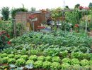 Gérer Au Mieux L'eau Au Jardin #1 – Prévenir Les Dégâts De ... encequiconcerne Acheter Un Jardin Potager