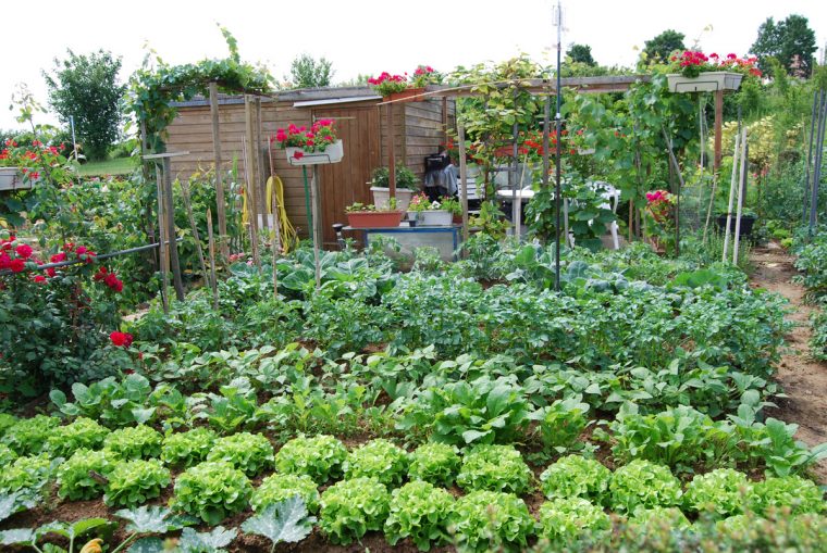 Gérer Au Mieux L'eau Au Jardin #1 – Prévenir Les Dégâts De … encequiconcerne Acheter Un Jardin Potager