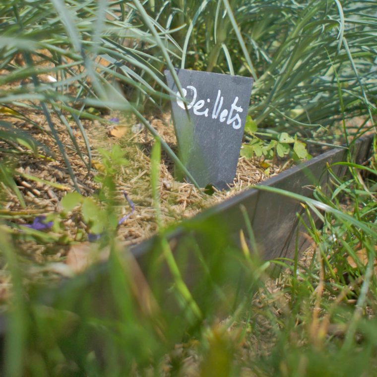 Grand Choix D'étiquettes À Plantes Pour Le Jardin | Jardins … concernant Etiquette Jardin