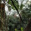 Grandes Serres Du Jardin Des Plantes (Greenhouses ... à Serre De Jardin Amazon