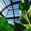 Grandes Serres Du Jardin Des Plantes (Greenhouses) | Muséum ... encequiconcerne Verriere Jardin
