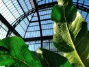 Grandes Serres Du Jardin Des Plantes | Muséum National D ... avec Fonctionnement D Une Serre De Jardin