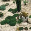 Gravier Blanc Pour Le Jardin: Astuces Et Idées Déco pour Idee Deco Jardin Gravier