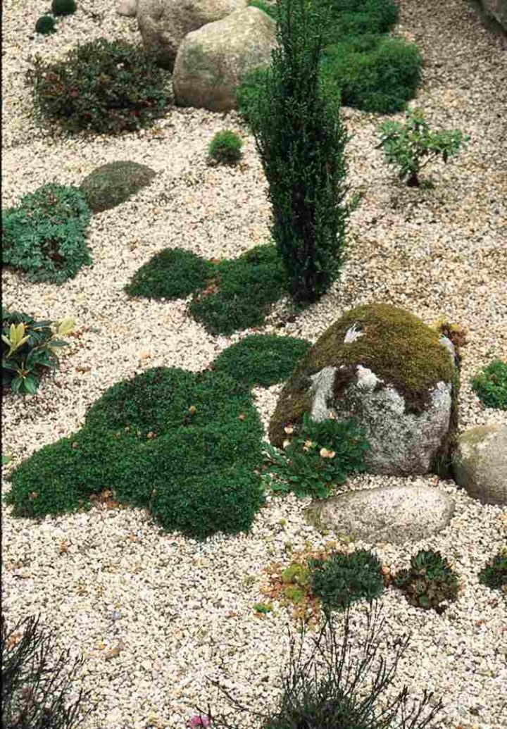 Gravier Blanc Pour Le Jardin: Astuces Et Idées Déco pour Idee Deco Jardin Gravier