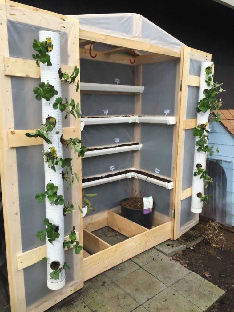 Greenhouse With Pvc Pipe And Gutters | Jardinage | Jardins … dedans Pot Pvc Jardin