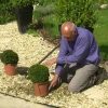 Habiller Un Gravier Avec Des Plantes à Jardin Avec Galets Blancs