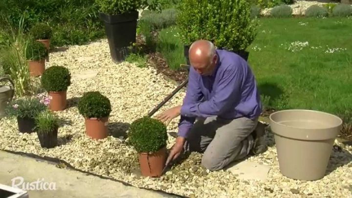 Habiller Un Gravier Avec Des Plantes concernant Cailloux Décoration Jardin