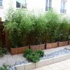 Haie De Bambous En Pots | Déco | Jardins, Bambou Balcon Et ... serapportantà Déco Jardin Bambou