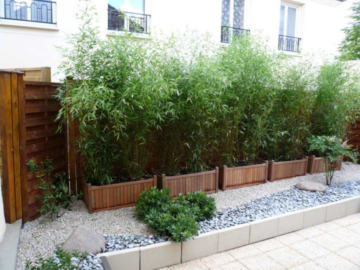 Haie De Bambous En Pots | Déco | Jardins, Bambou Balcon Et … serapportantà Déco Jardin Bambou