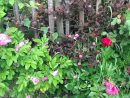 Herbesfauves-Fleuriste-Bordeaux-Jardin-Garden-Paysagisme ... à Am2Nagement Jardin