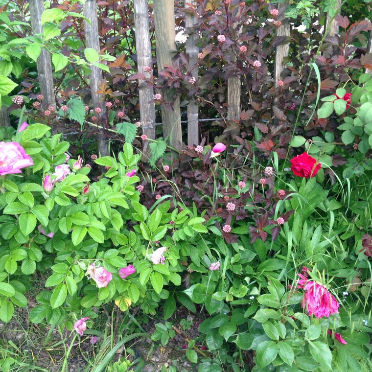 Herbesfauves-Fleuriste-Bordeaux-Jardin-Garden-Paysagisme … à Am2Nagement Jardin