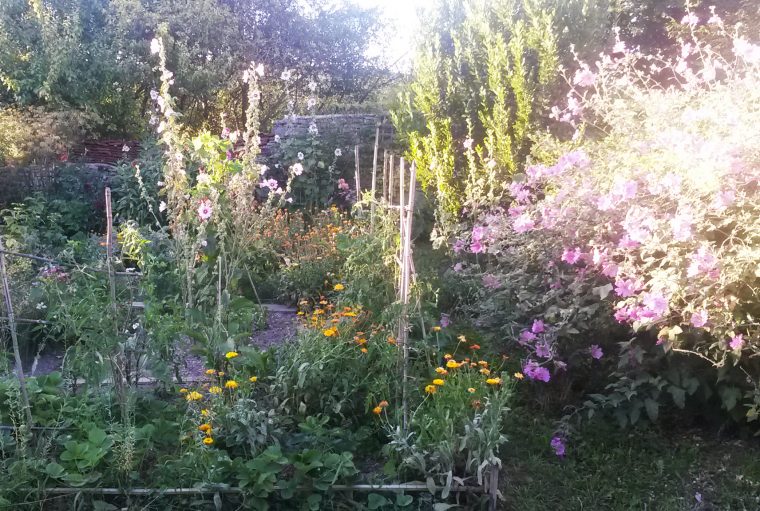 Herbesfauves-Fleuriste-Bordeaux-Jardin-Garden-Paysagisme … avec Jardin Potager De Balcon
