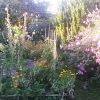 Herbesfauves-Fleuriste-Bordeaux-Jardin-Garden-Paysagisme ... concernant Aménagement Terrasse Et Jardin Photo