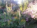 Herbesfauves-Fleuriste-Bordeaux-Jardin-Garden-Paysagisme ... destiné Am2Nagement Jardin