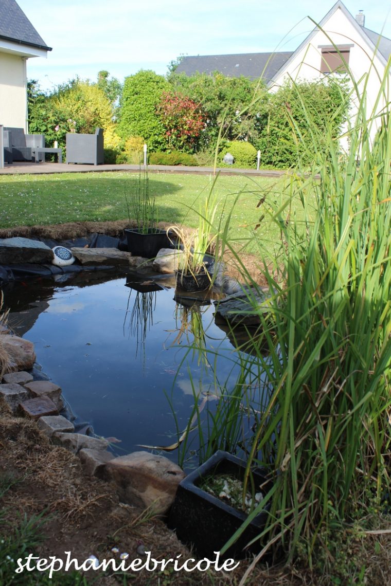 Idée Déco Brico – Aménager Un Bassin Dans Le Jardin … tout Idée Deco Jardin
