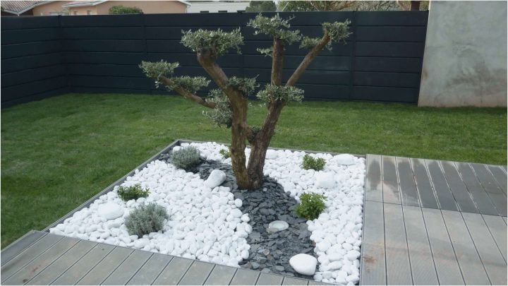 Idee Deco Jardin Avec Gravillon | Idee Deco Jardin … destiné Jardin Avec Galets Blancs