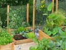 Idée Pour Mini Potager | Jardins, Idées Jardin Et Faire Un ... dedans Faire Un Petit Potager Dans Son Jardin