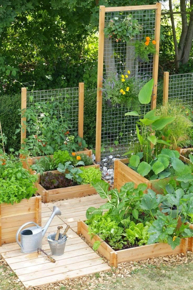 Idée Pour Mini Potager | Jardins, Idées Jardin Et Faire Un … destiné Idee De Plantation Pour Jardin